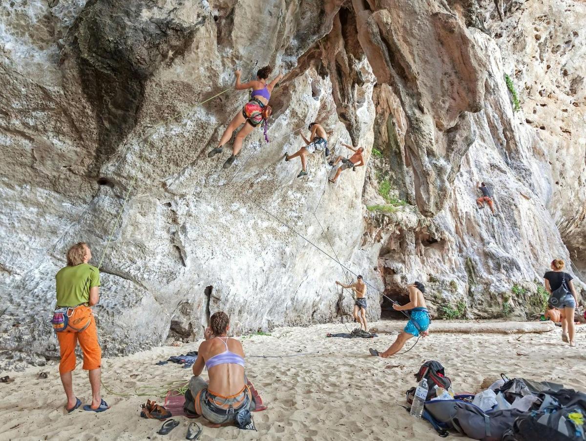 a group of people climbing up a rock wall