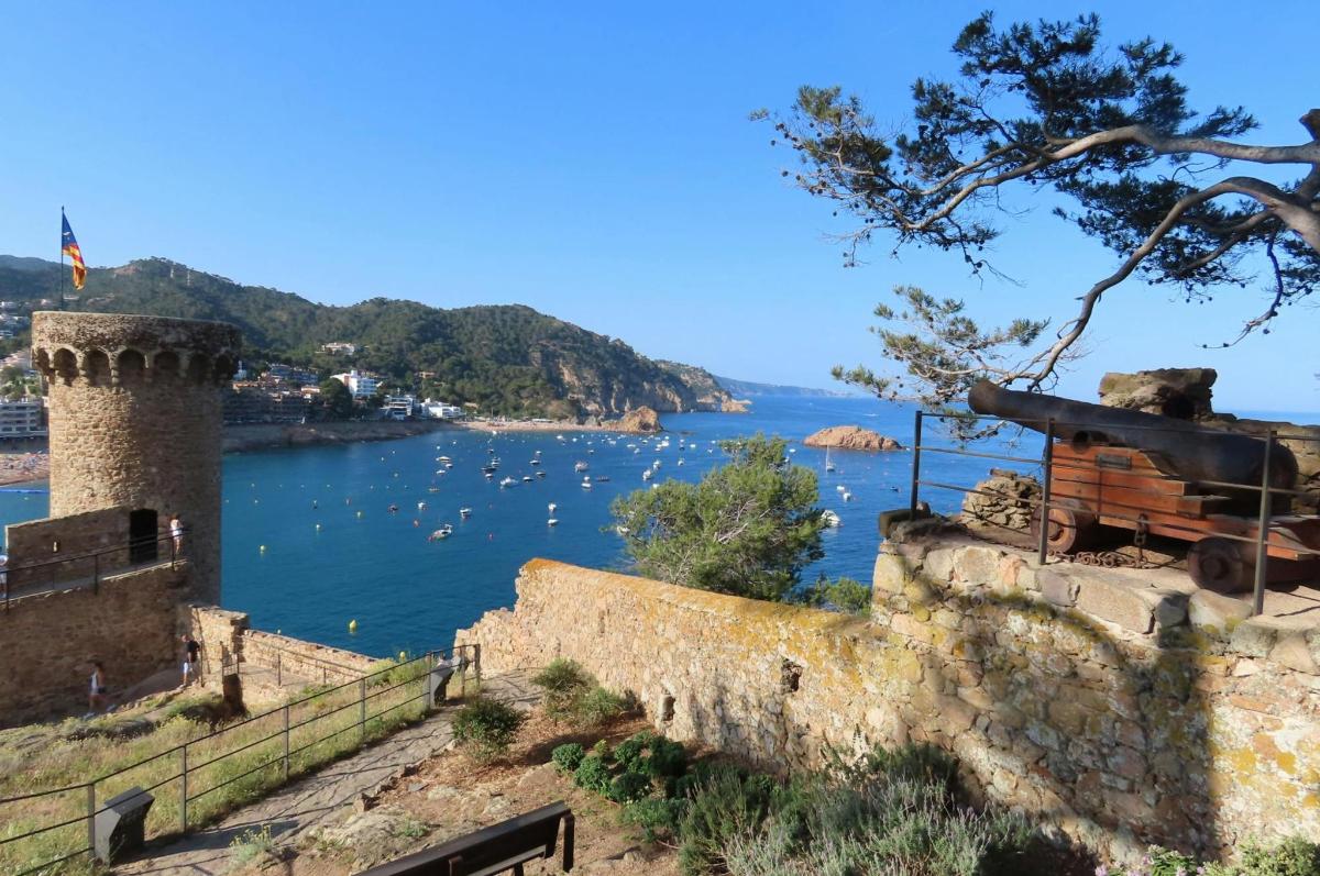 una vista di uno specchio d'acqua con barche