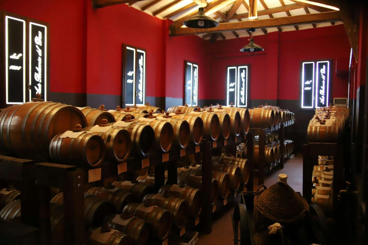 a row of wine barrels in a room with red walls