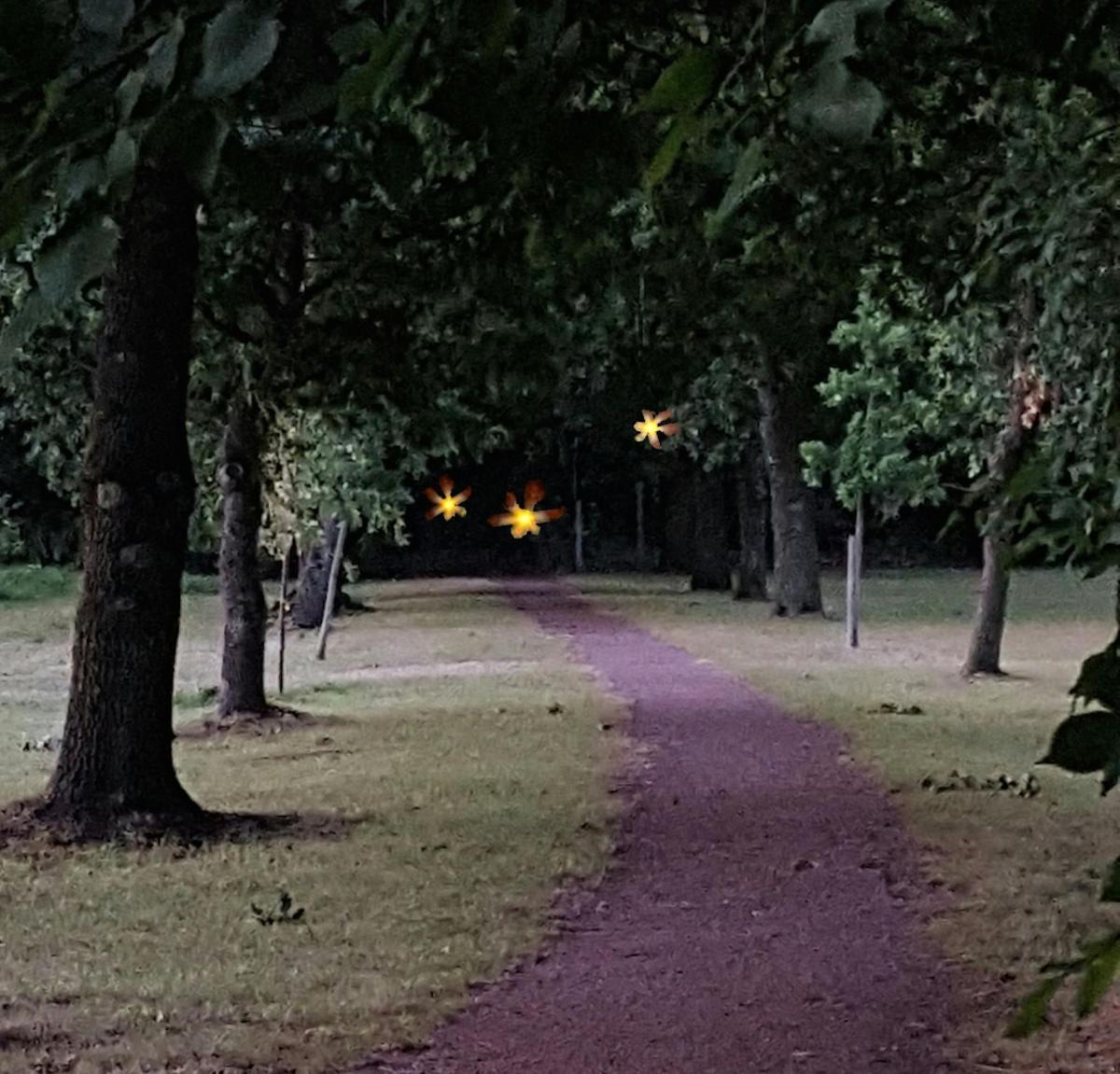 um caminho em um parque com árvores e luzes