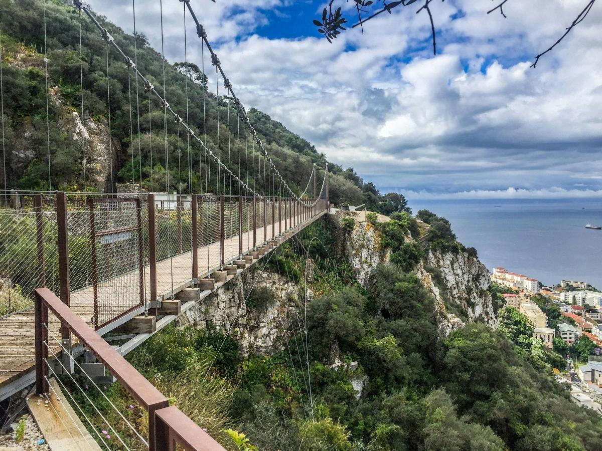 a suspension bridge over a mountain overlooking the ocean