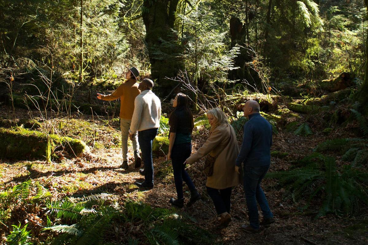 un grupo de personas caminando por el bosque