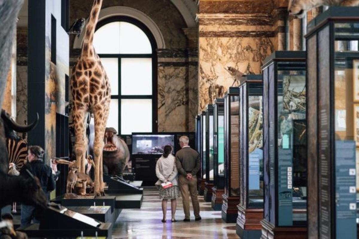 sekumpulan orang melihat zirafah di muzium