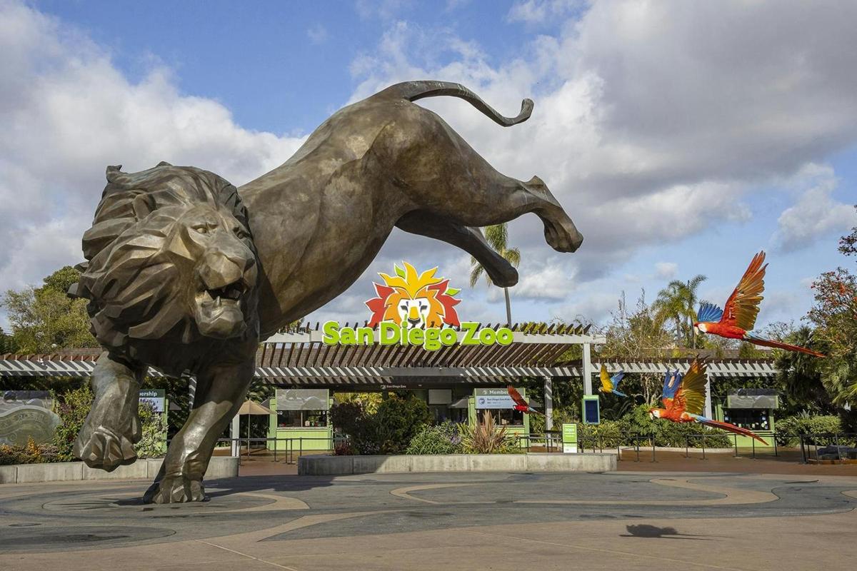 una statua di un leone davanti a un negozio