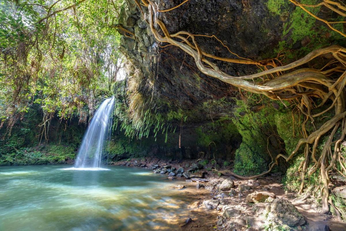ένας καταρράκτης στη ζούγκλα με μια λίμνη νερού