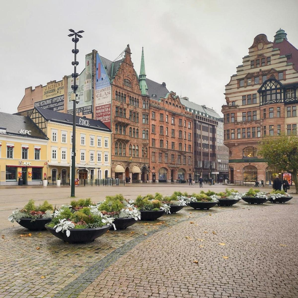 řada hrnkových rostlin na městské ulici