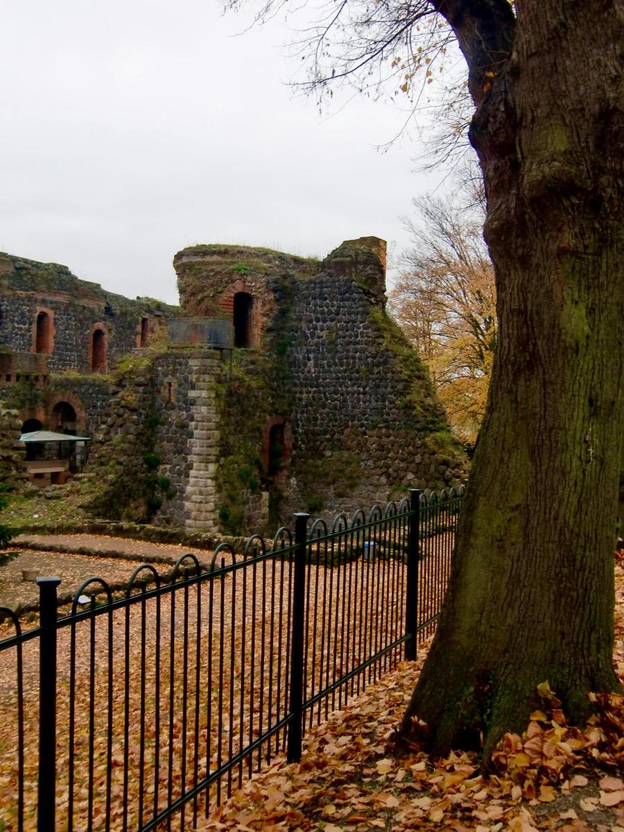 um velho castelo atrás de uma cerca com uma árvore