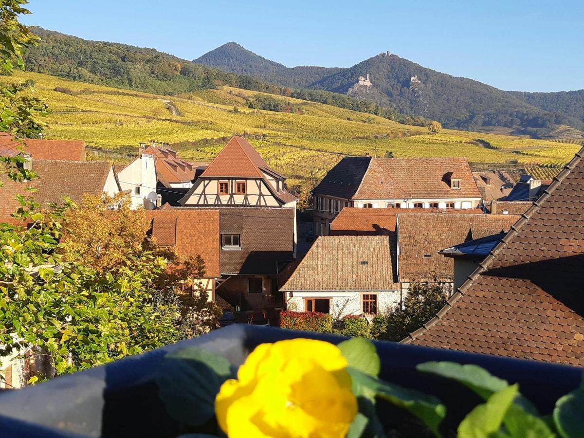 pohled na město s domy a kopci