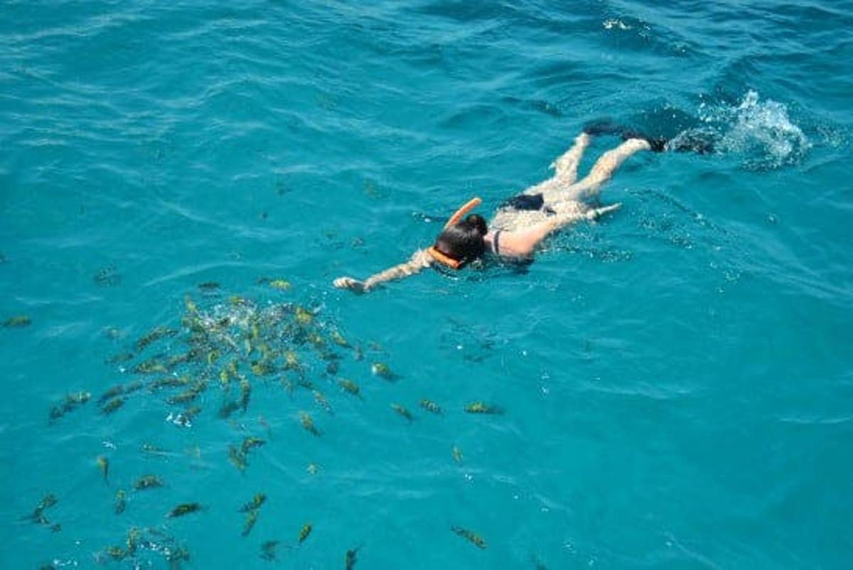 在海里游泳的人