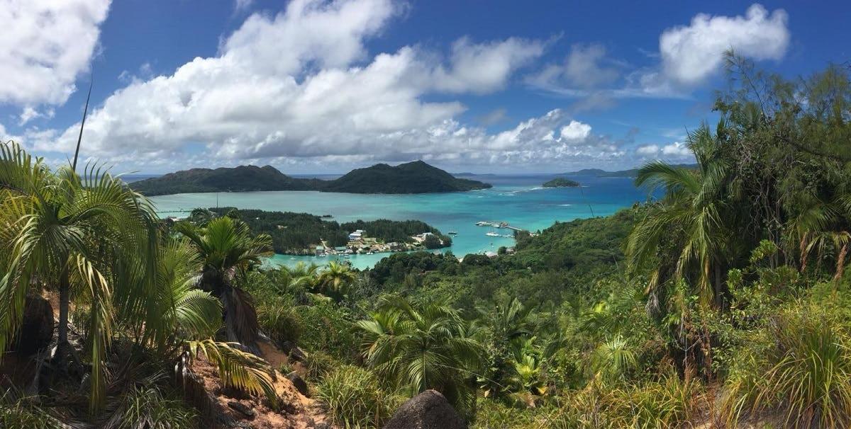 a view of a tropical island with palm trees