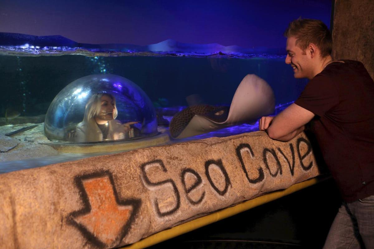 a man standing next to a mermaid in an aquarium
