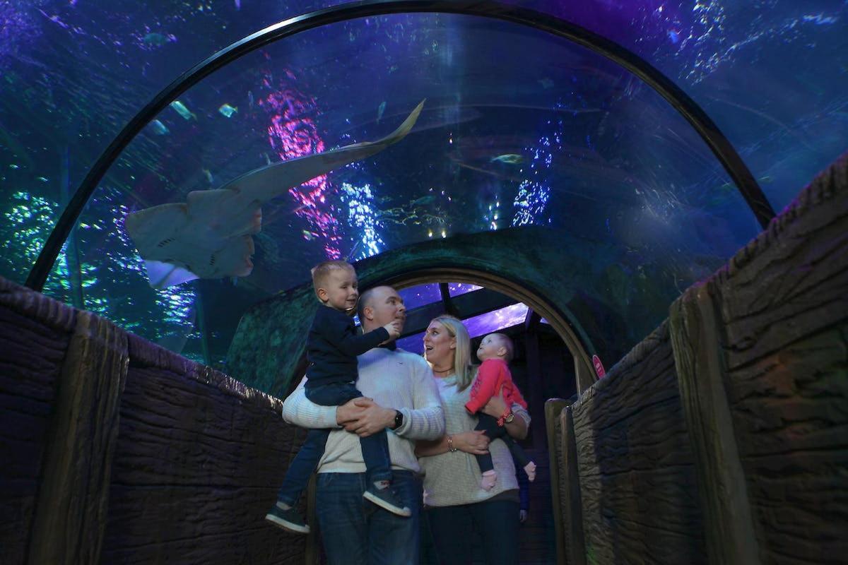a man and woman holding a baby in front of an aquarium