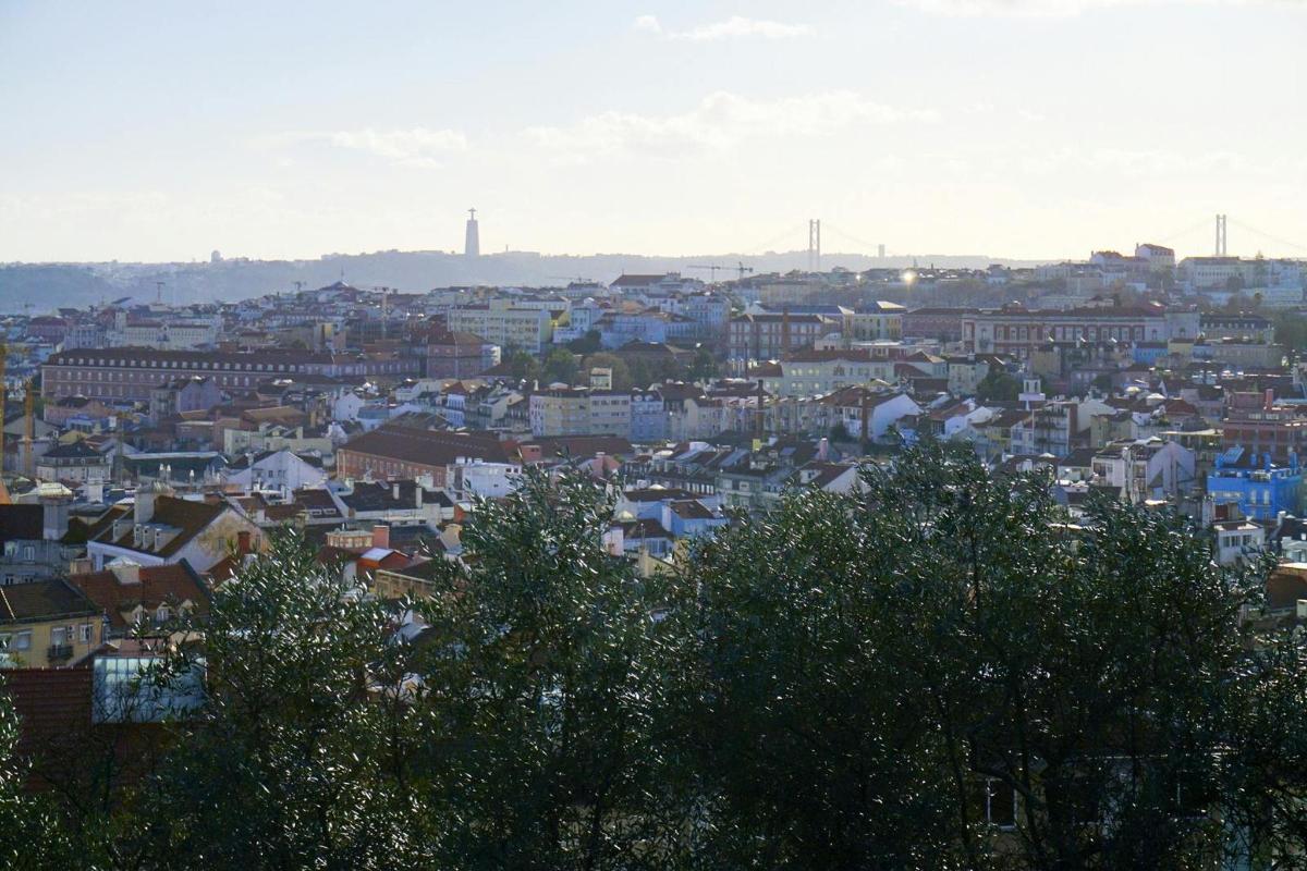 μια θέα μιας πόλης με κτίρια και δέντρα