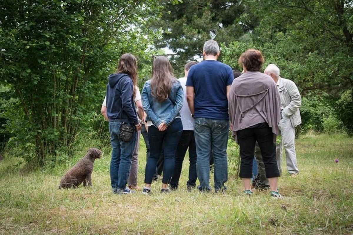a group of people standing in a field with a dog