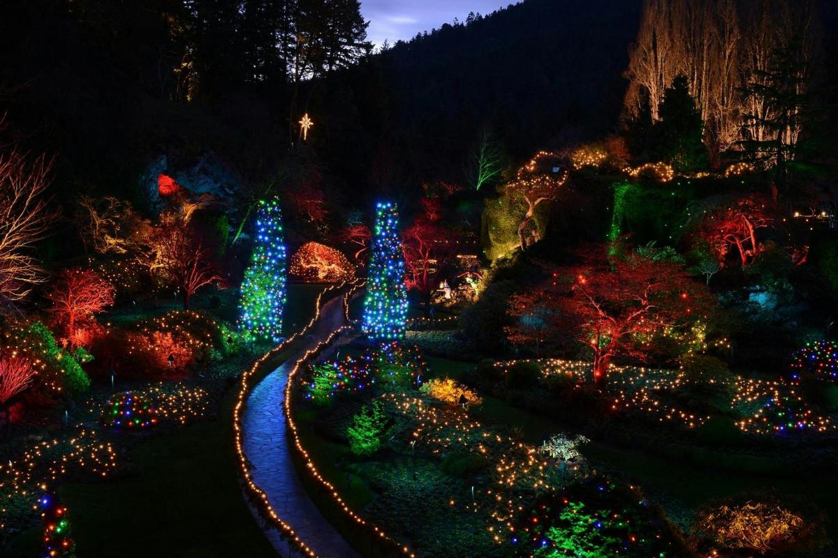 paparan lampu krismas di taman pada waktu malam