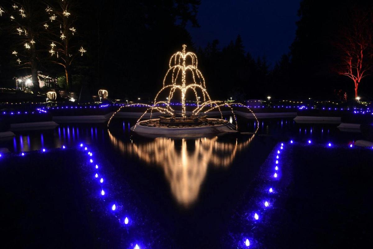 una fontana al centro di una piscina di notte