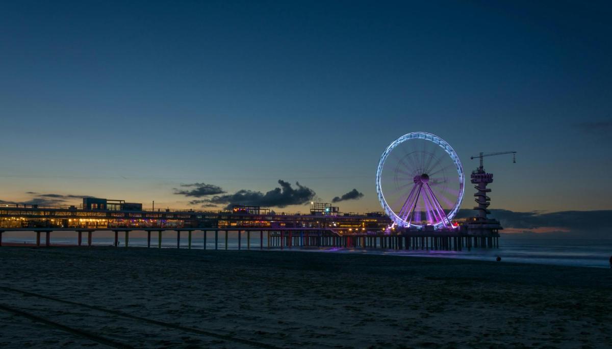 a ferris wheel on the beach at night