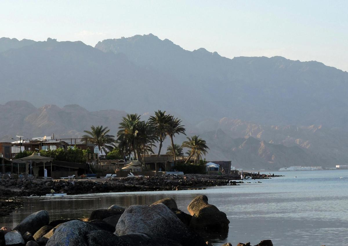 pantai dengan pokok palma dan gunung di latar belakang