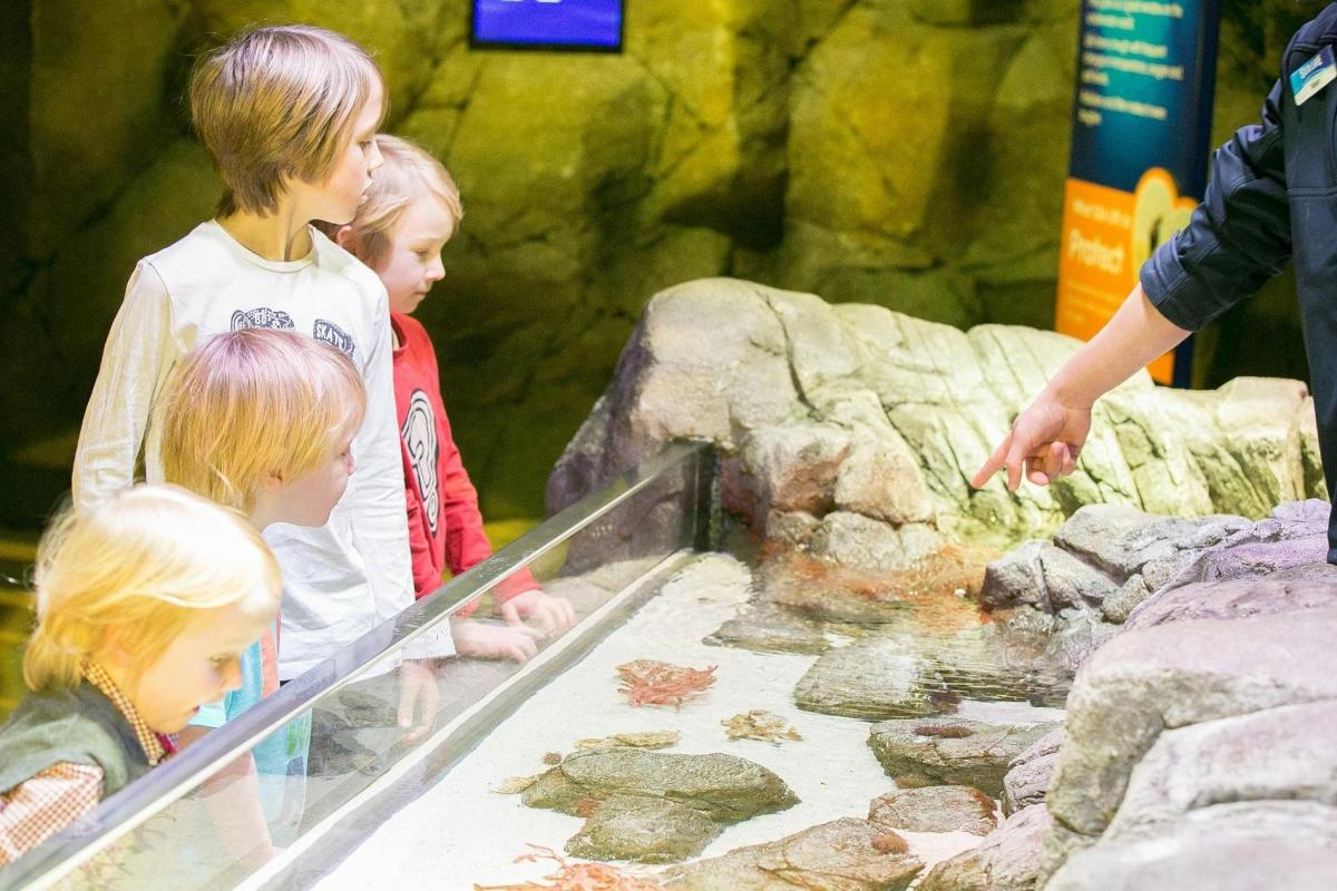 a group of children looking at a exhibit in a zoo