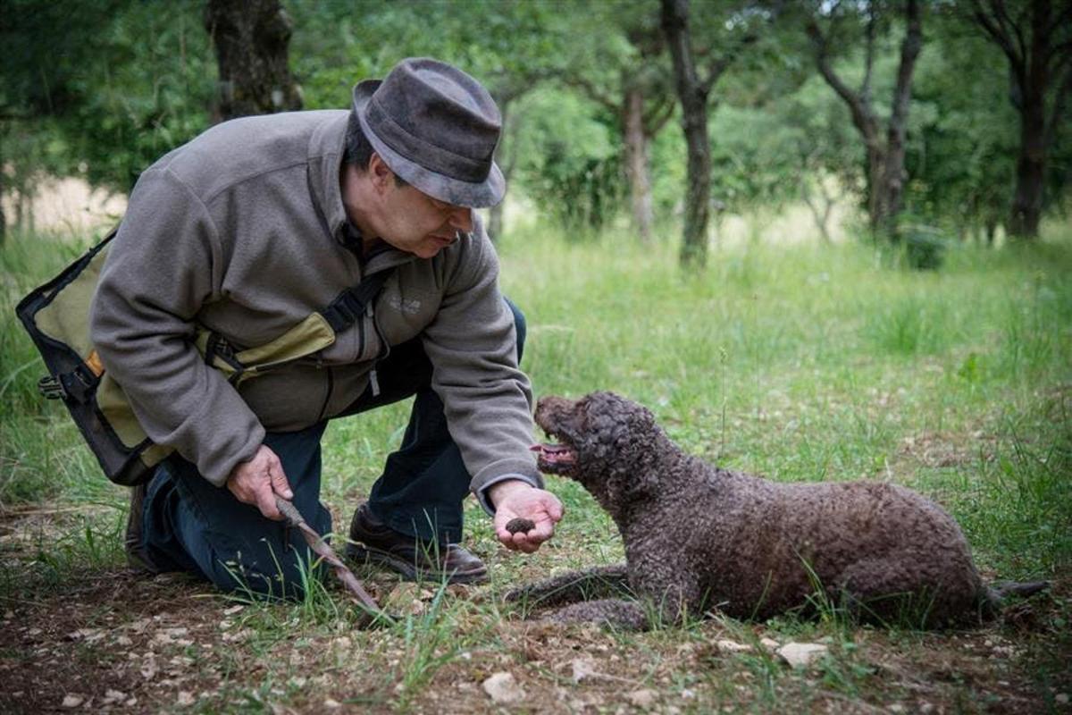 a man kneeling down next to a dog in a field