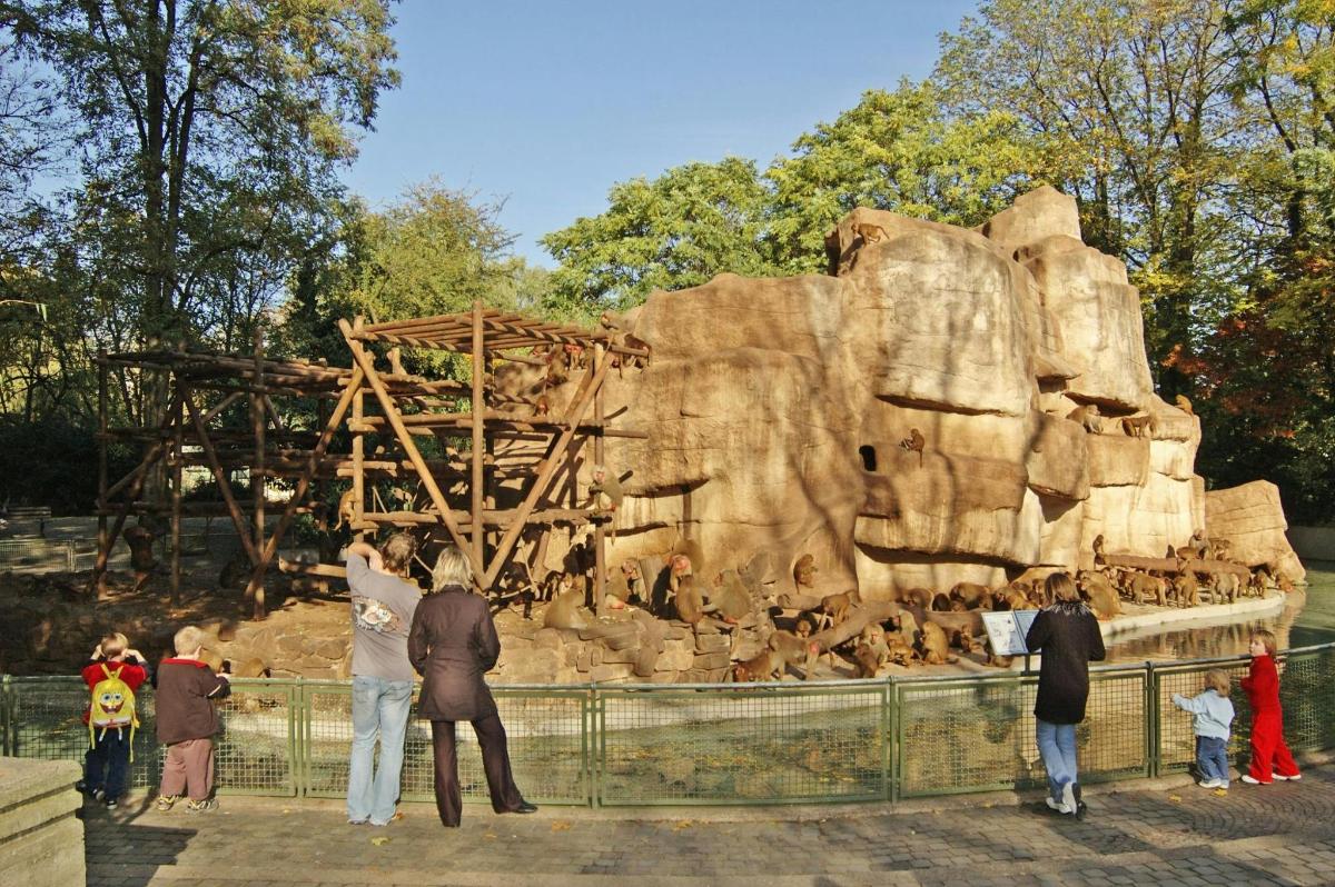 Bild 4 von der Attraktion