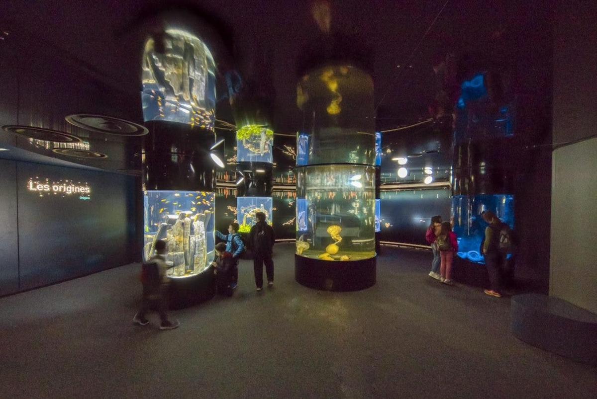 a group of people standing in a room with aquariums
