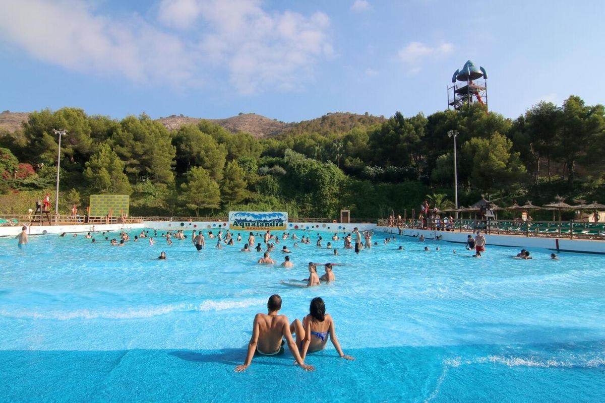 a group of people swimming in a swimming pool