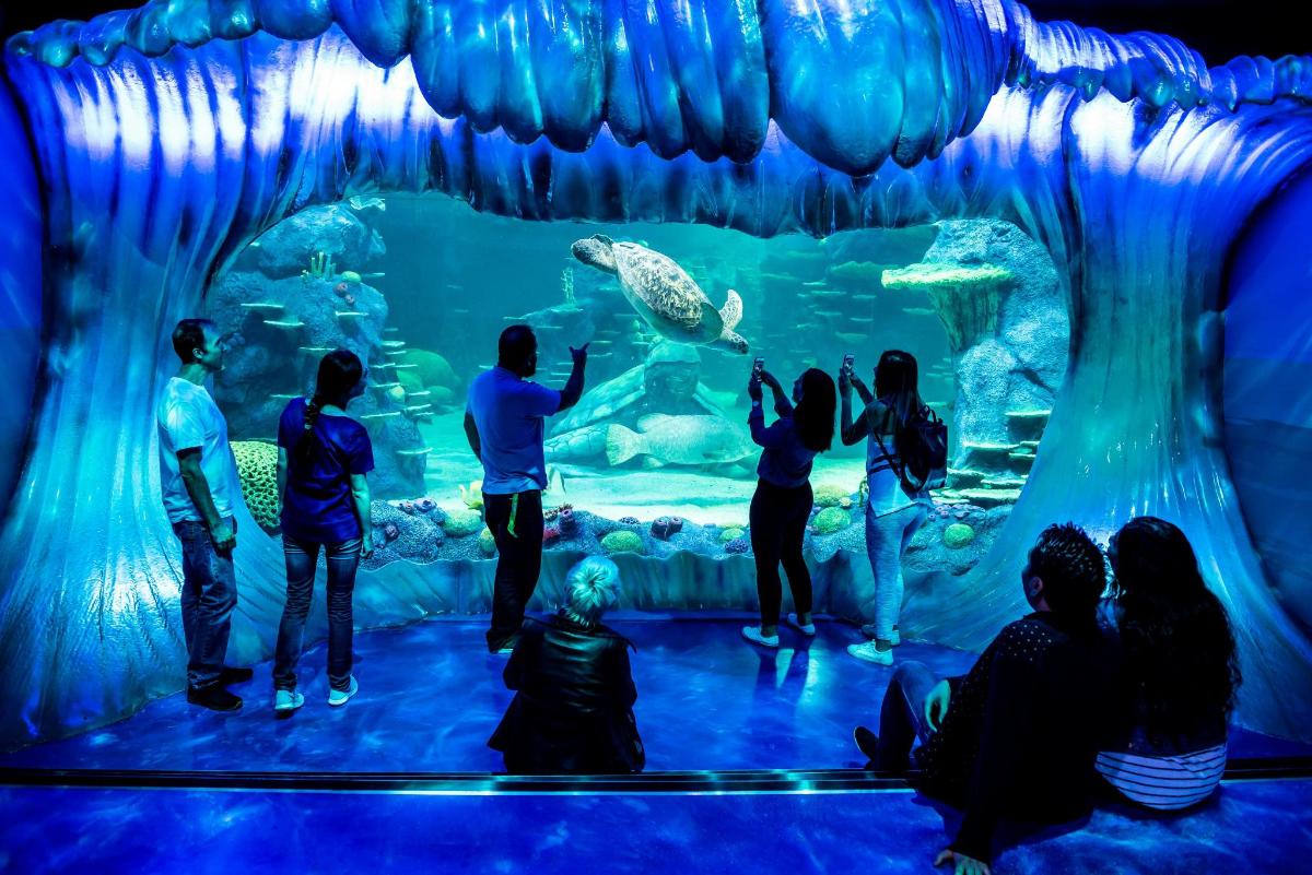 a group of people standing in front of an aquarium