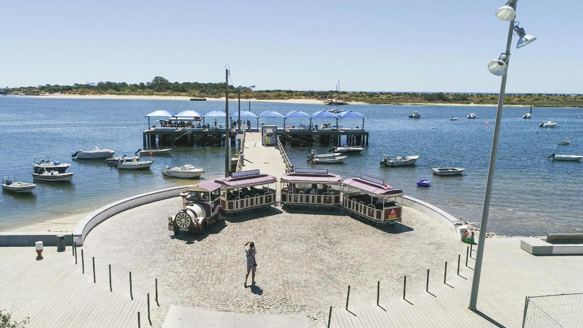 a person standing on a beach near a marina