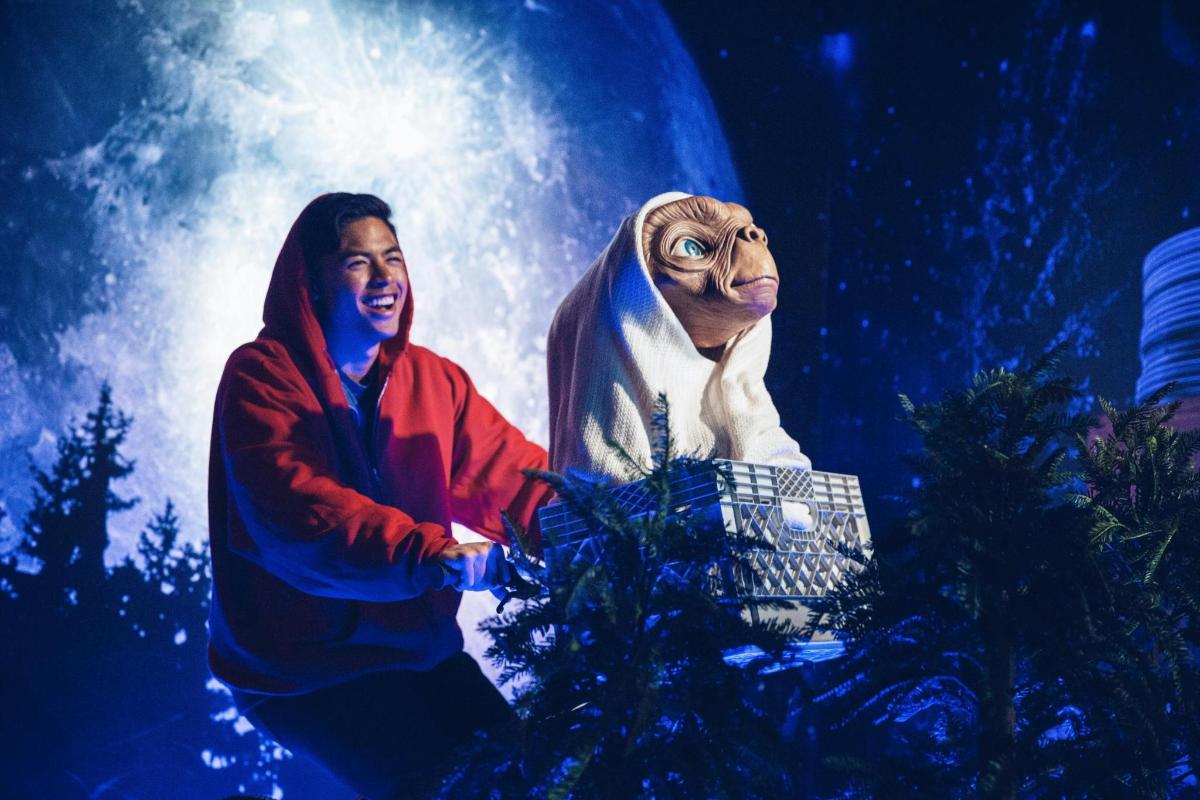a man standing next to a cat in a basket