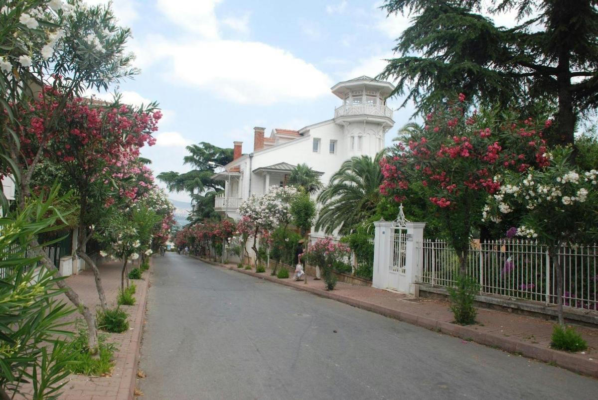 jalan di hadapan rumah putih dengan bunga