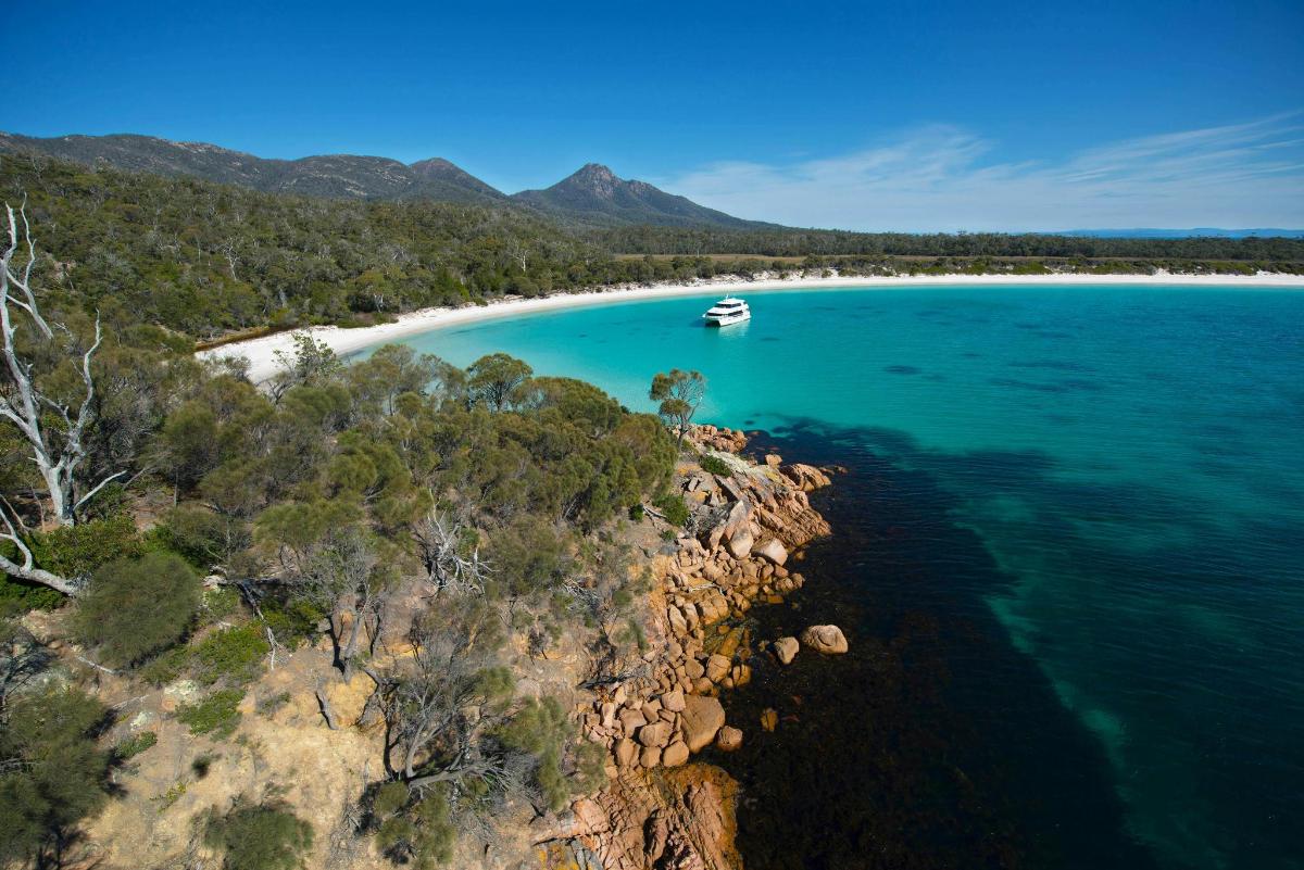 an aerial view of a beach with a boat in the water