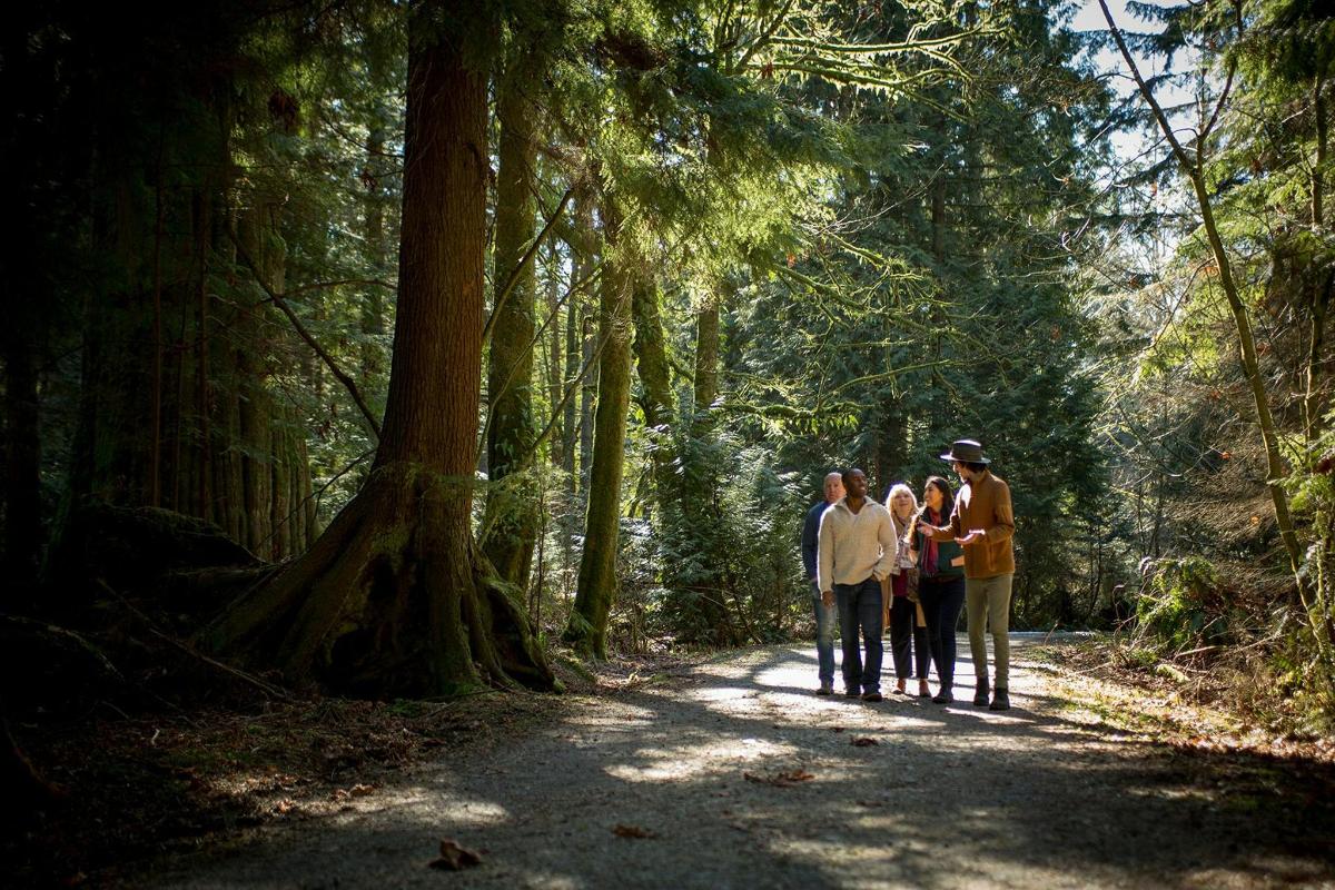 un grupo de personas caminando por un sendero forestal