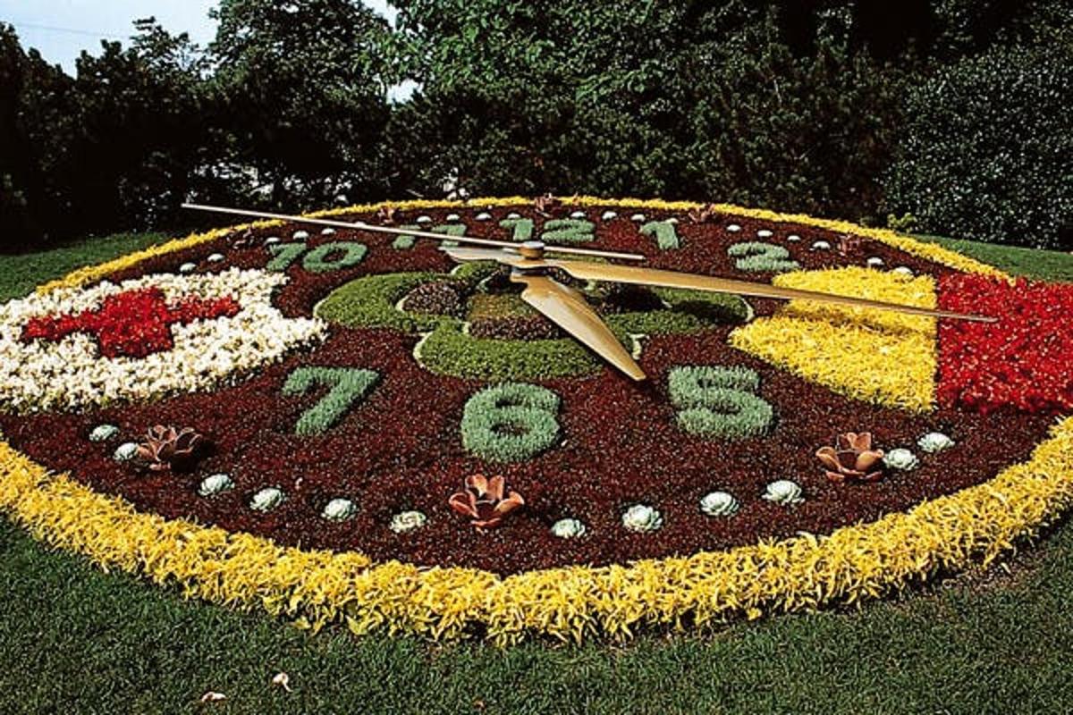a clock made out of flowers in the grass