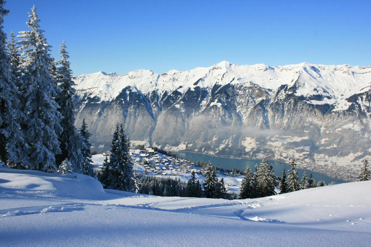 a view of a snowy mountain range with a town in the snow