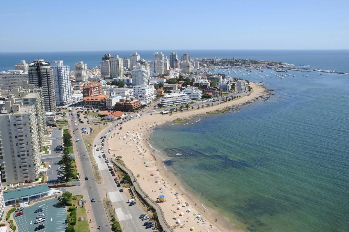 an aerial view of a beach and the ocean