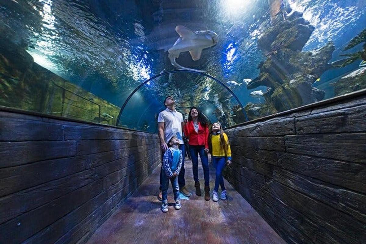 a family standing in front of an aquarium