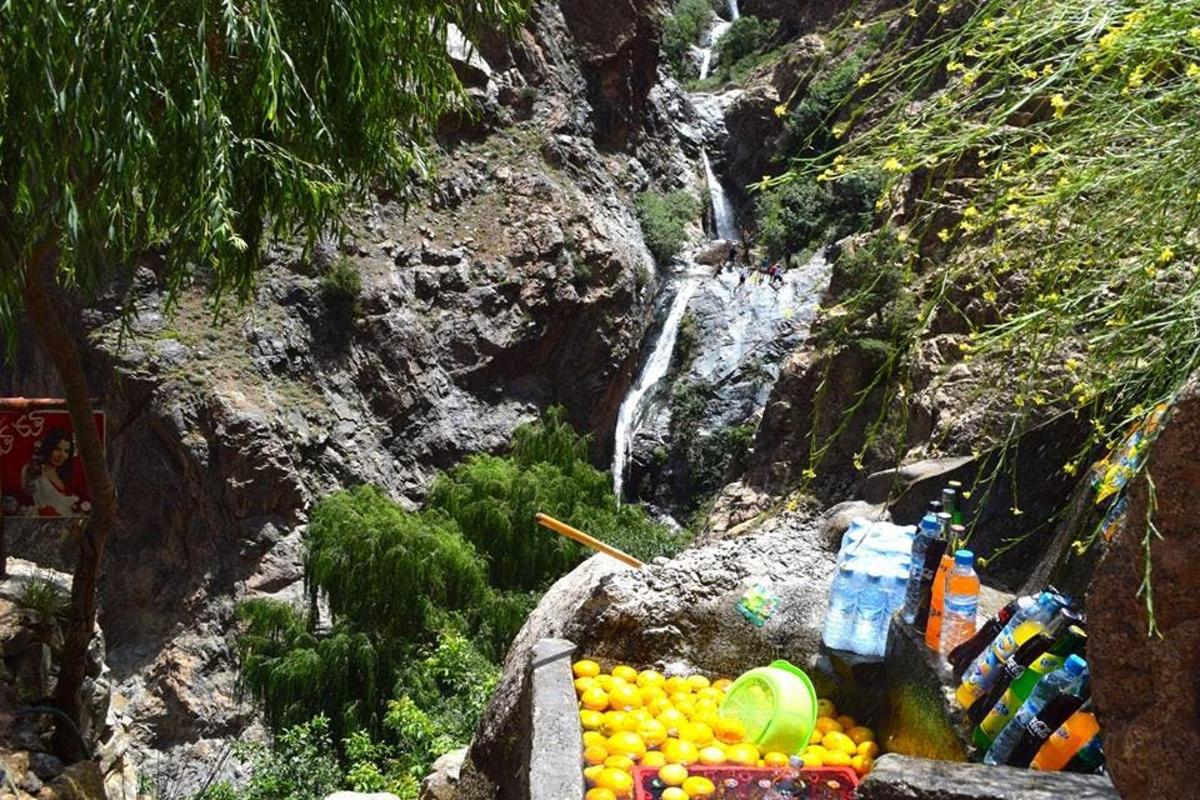 una vista di una cascata con un mucchio di frutta e bevande