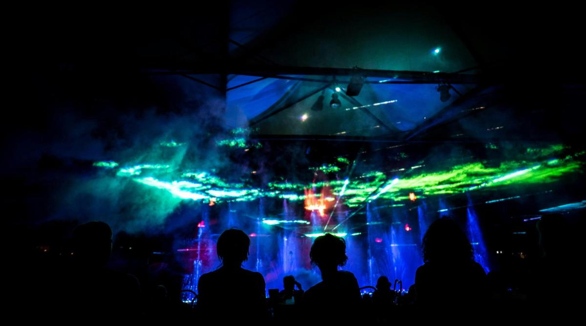 a group of people watching a concert at night