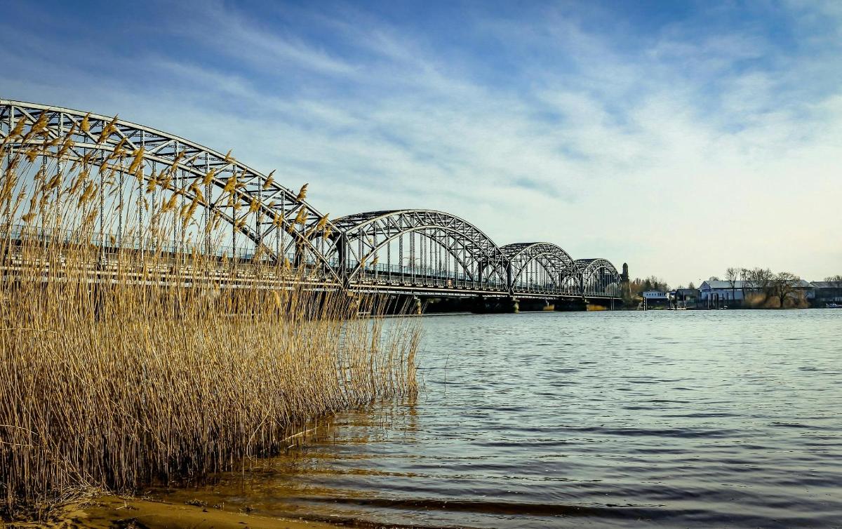 un puente sobre un cuerpo de agua con hierba alta