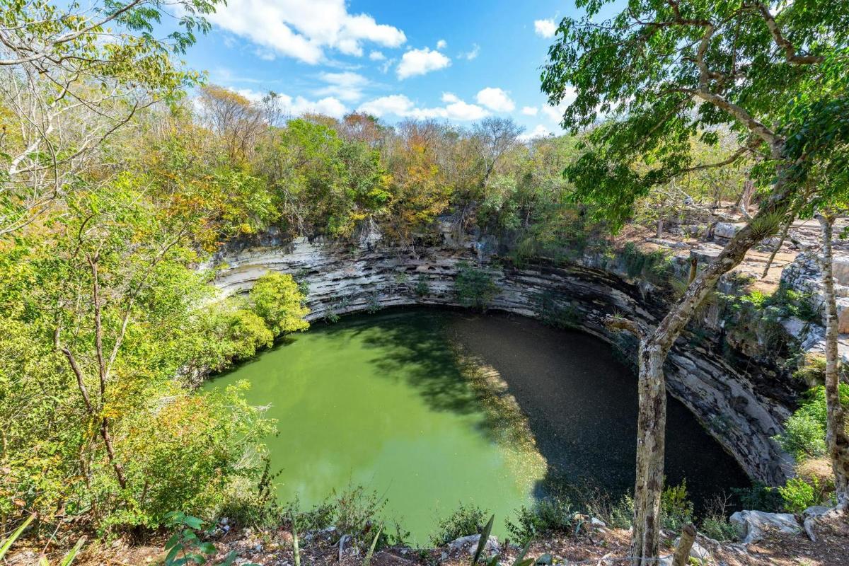 an old stone bridge over a green pond