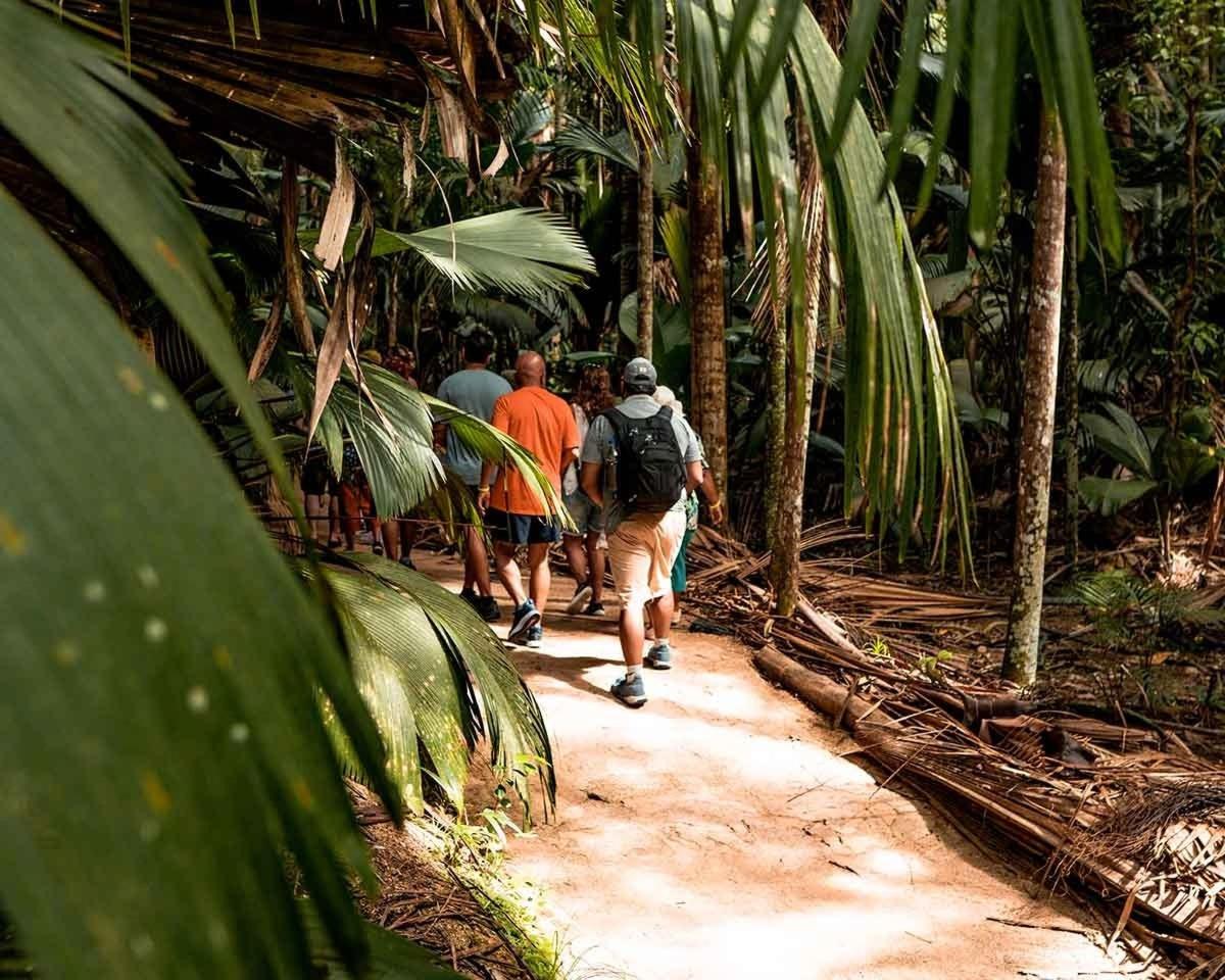 a group of people walking down a path in the jungle