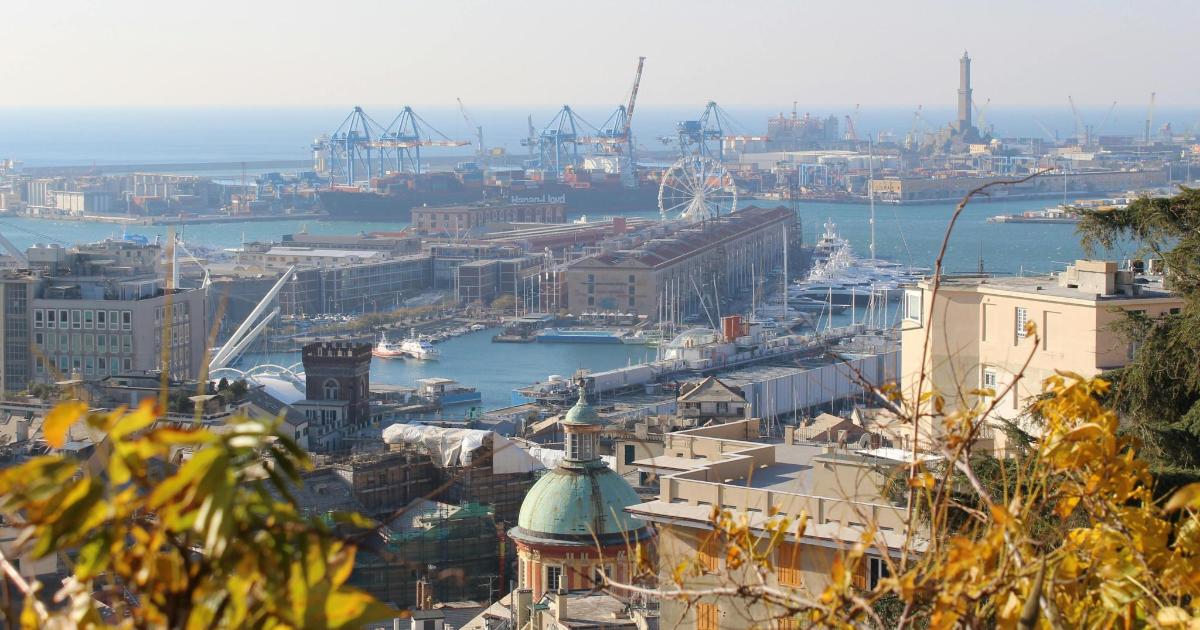 an aerial view of a city with a harbor