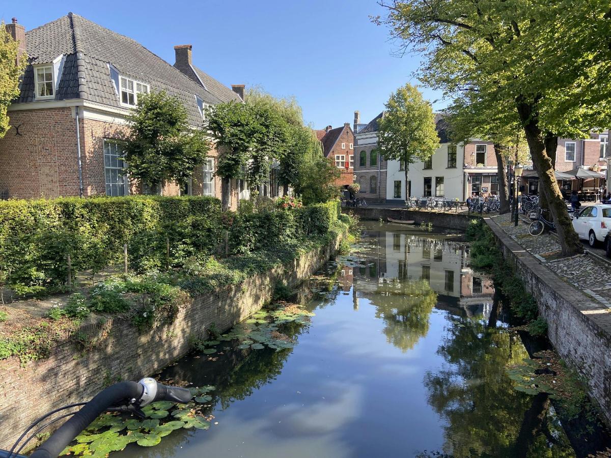 a canal in a city with houses and trees