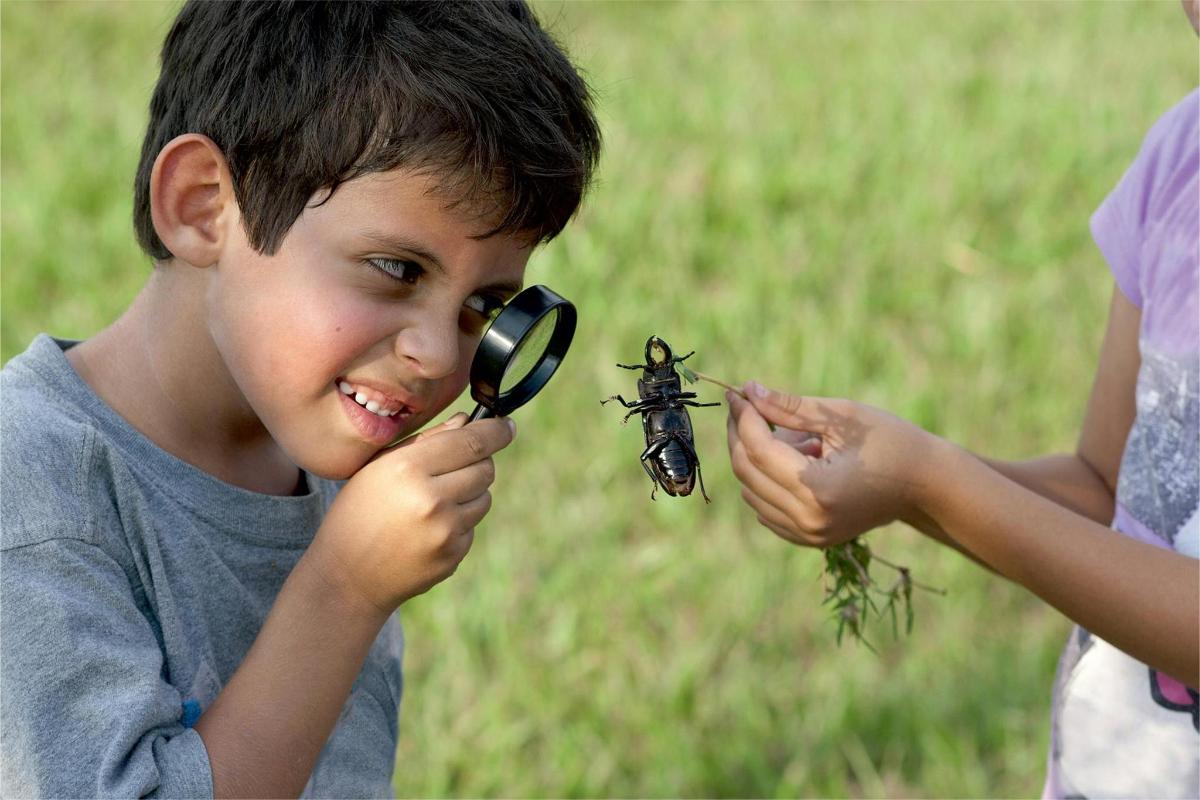 mladý chlapec se dívá na brouka přes lupu