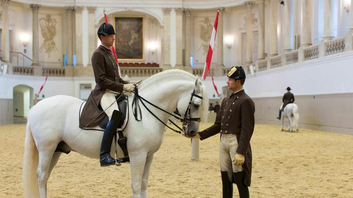 en mand i uniform sidder på en hvid hest