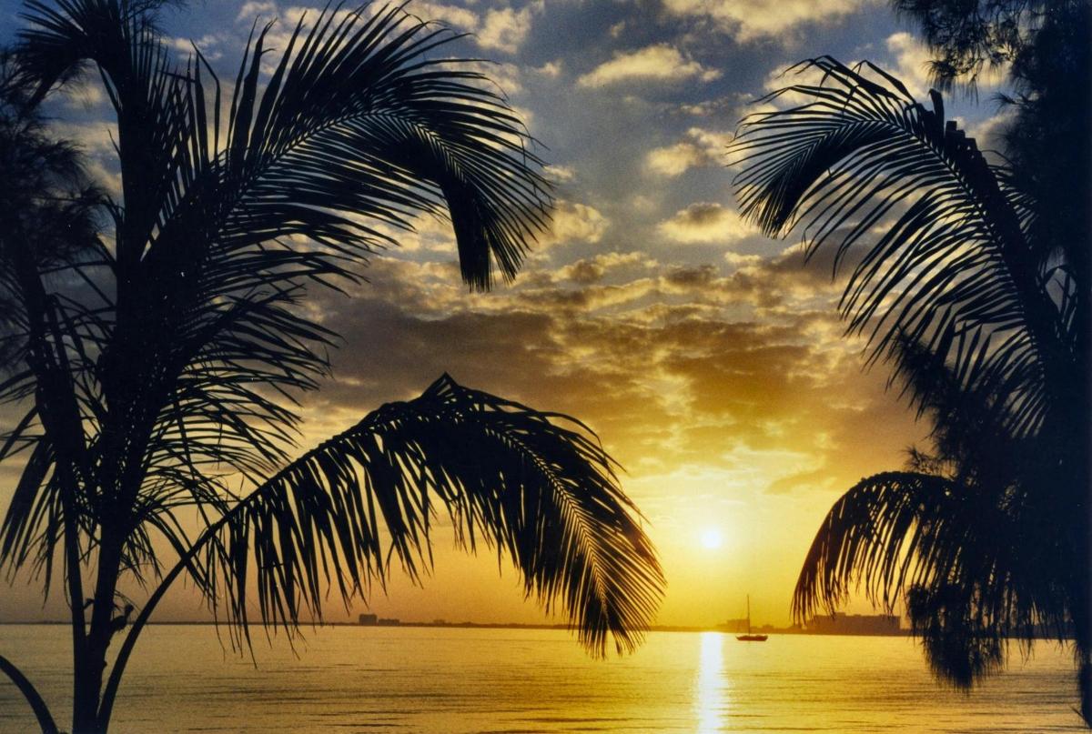 una posta de sol sobre l'oceà amb una palmera