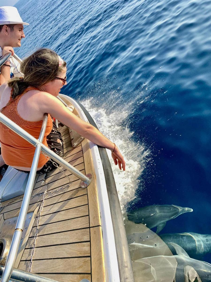 a woman on a boat looking at a dolphin