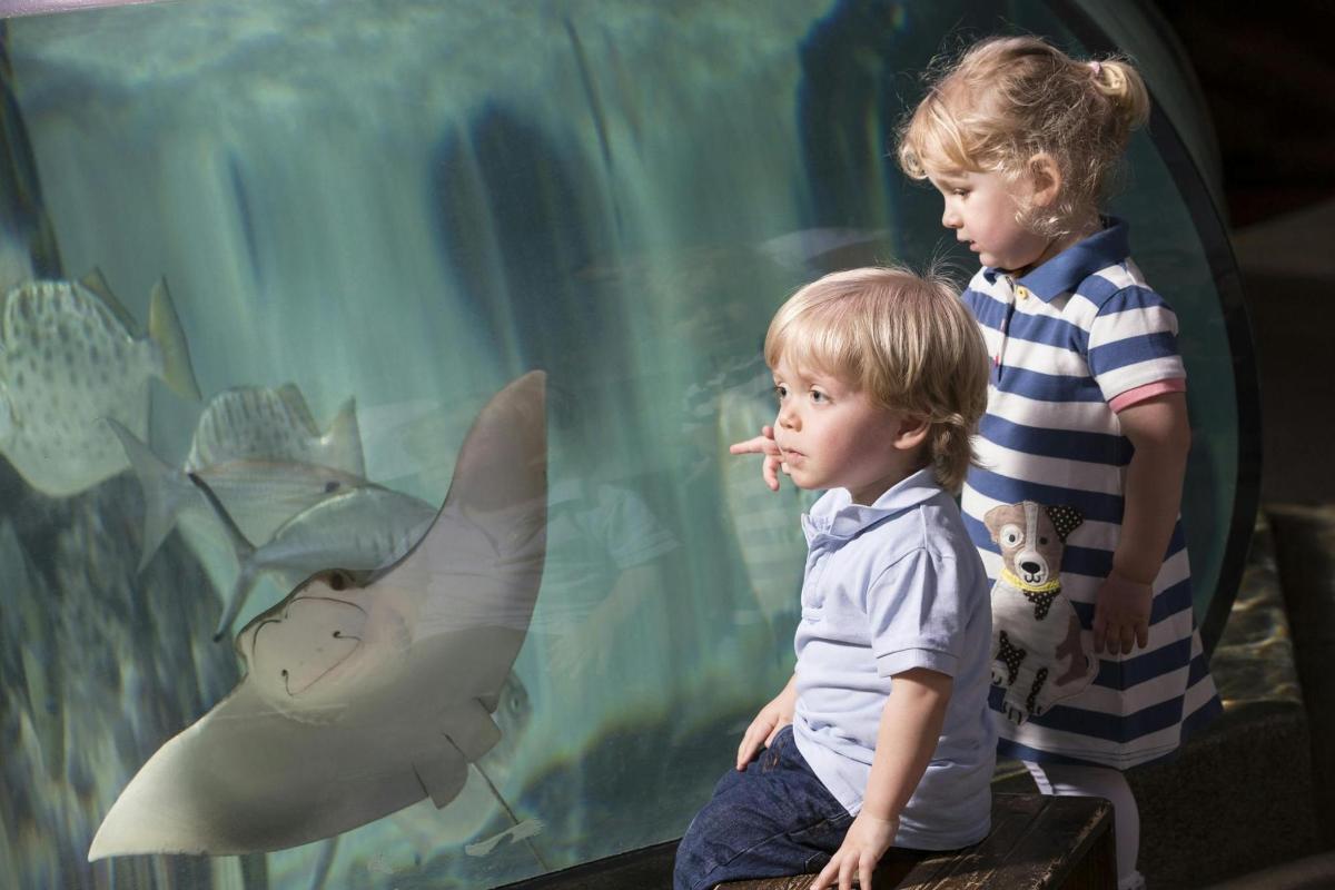 two young boys standing next to a aquarium with a fish