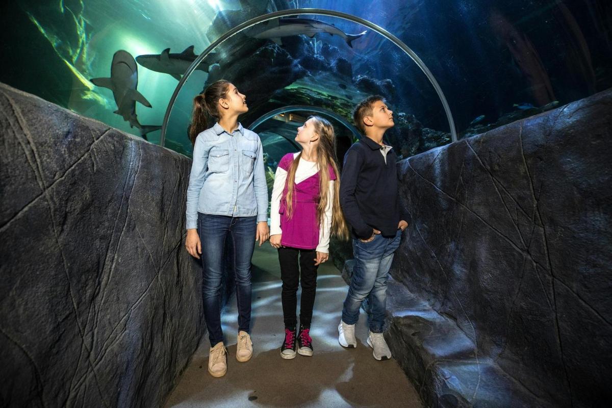 three people standing in front of an aquarium